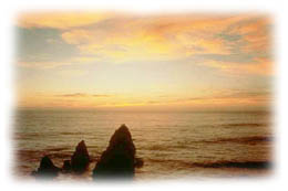 Sea